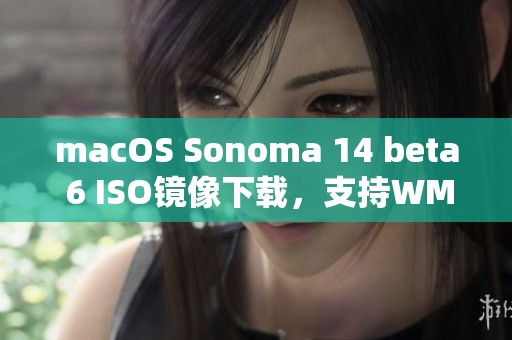 macOS Sonoma 14 beta 6 ISO镜像下载，支持WM虚重功能全解析