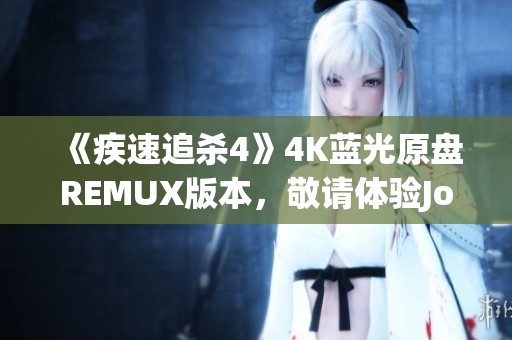 《疾速追杀4》4K蓝光原盘REMUX版本，敬请体验John Wick Chapter 4精彩内容