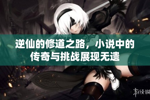 逆仙的修道之路，小说中的传奇与挑战展现无遗