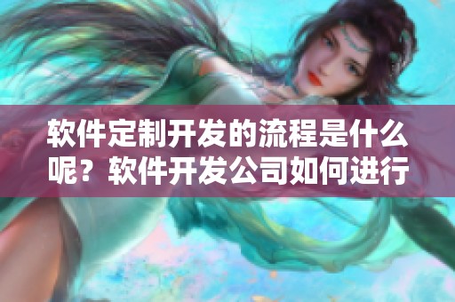 软件定制开发的流程是什么呢？软件开发公司如何进行软件定制开发？