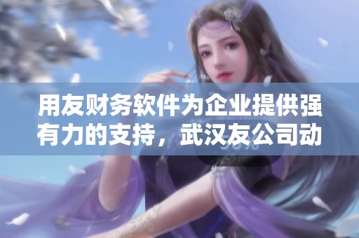用友财务软件为企业提供强有力的支持，武汉友公司动态展现实力与发展
