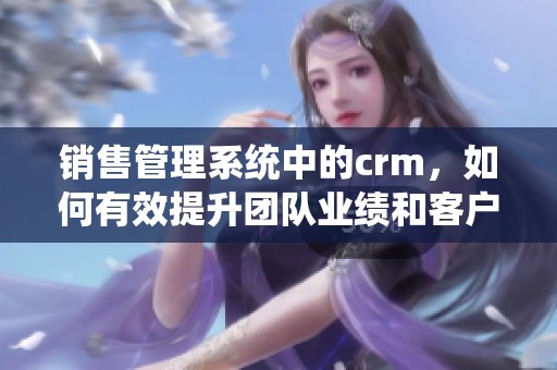 销售管理系统中的crm，如何有效提升团队业绩和客户关系？