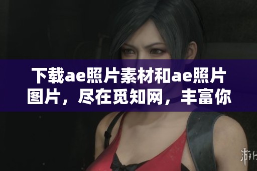 下载ae照片素材和ae照片图片，尽在觅知网，丰富你的设计资源