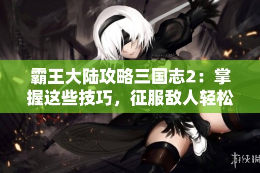 霸王大陆攻略三国志2：掌握这些技巧，征服敌人轻松无比！