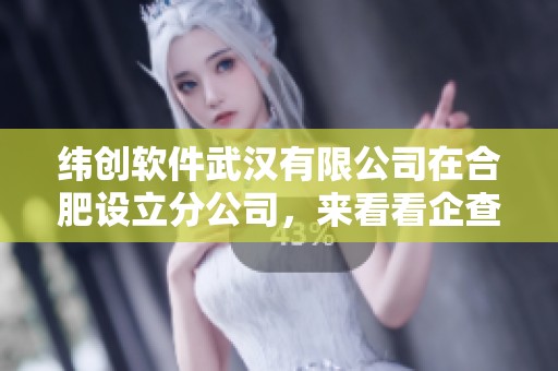 纬创软件武汉有限公司在合肥设立分公司，来看看企查查的相关信息
