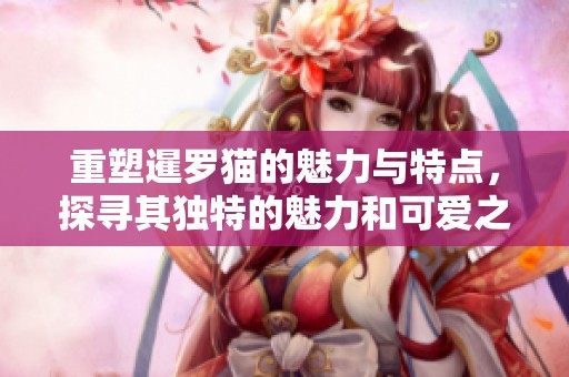 重塑暹罗猫的魅力与特点，探寻其独特的魅力和可爱之处