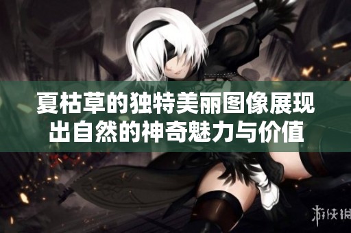 夏枯草的独特美丽图像展现出自然的神奇魅力与价值