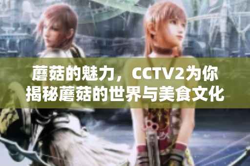 蘑菇的魅力，CCTV2为你揭秘蘑菇的世界与美食文化