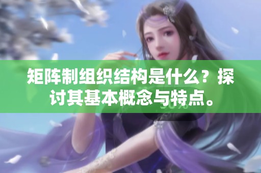 矩阵制组织结构是什么？探讨其基本概念与特点。