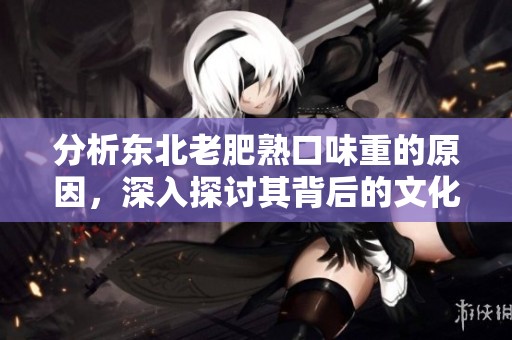 分析东北老肥熟口味重的原因，深入探讨其背后的文化与饮食习惯