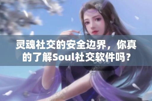 灵魂社交的安全边界，你真的了解Soul社交软件吗？