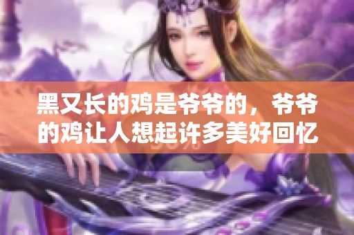 黑又长的鸡是爷爷的，爷爷的鸡让人想起许多美好回忆