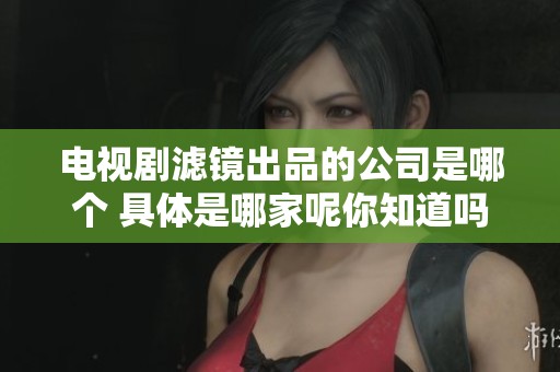 电视剧滤镜出品的公司是哪个 具体是哪家呢你知道吗