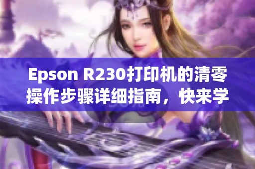 Epson R230打印机的清零操作步骤详细指南，快来学习吧