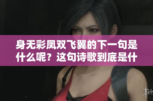 身无彩凤双飞翼的下一句是什么呢？这句诗歌到底是什么意思呢？