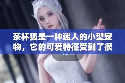 茶杯狐是一种迷人的小型宠物，它的可爱特征受到了很多人的喜爱
