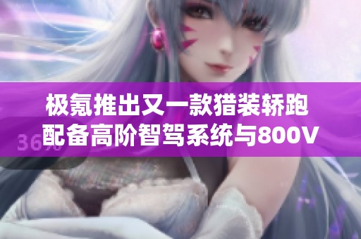 极氪推出又一款猎装轿跑 配备高阶智驾系统与800V技术 2029仅售“万起”