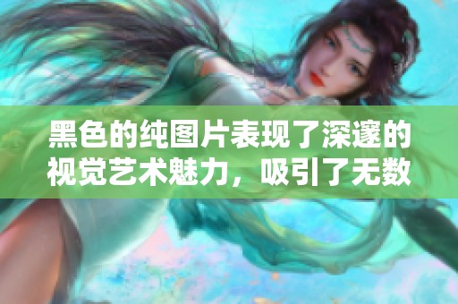 黑色的纯图片表现了深邃的视觉艺术魅力，吸引了无数人的目光。