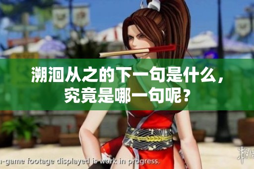 溯洄从之的下一句是什么，究竟是哪一句呢？