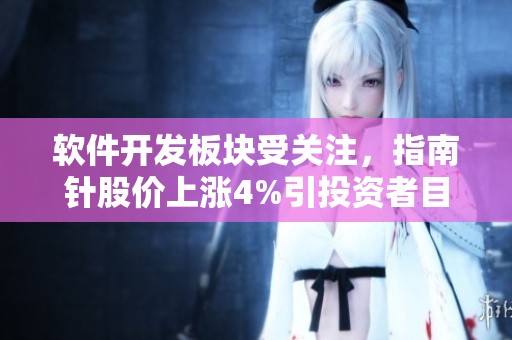 软件开发板块受关注，指南针股价上涨4%引投资者目光