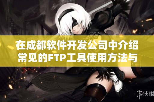 在成都软件开发公司中介绍常见的FTP工具使用方法与技巧